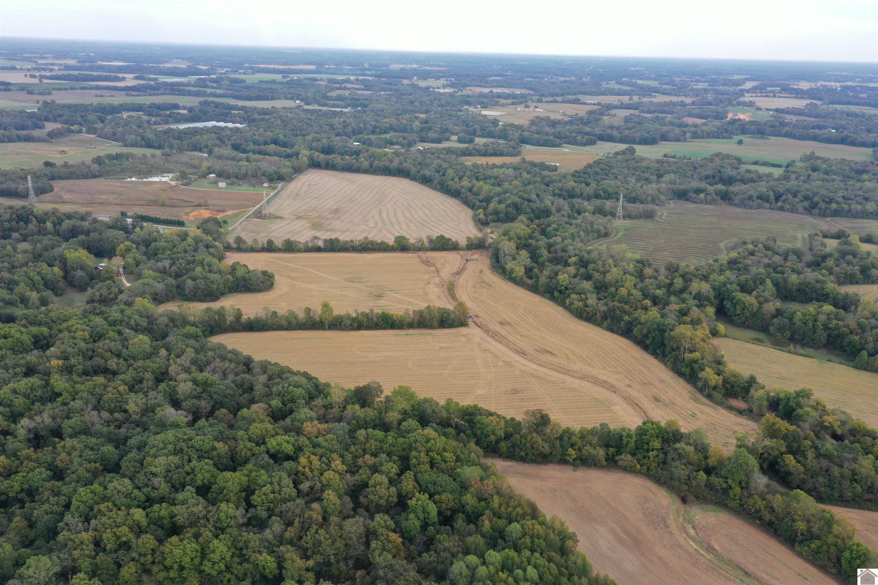 0 Barnett Road Farmington, KY 42040 - Photo 3 of 10 Photo 3