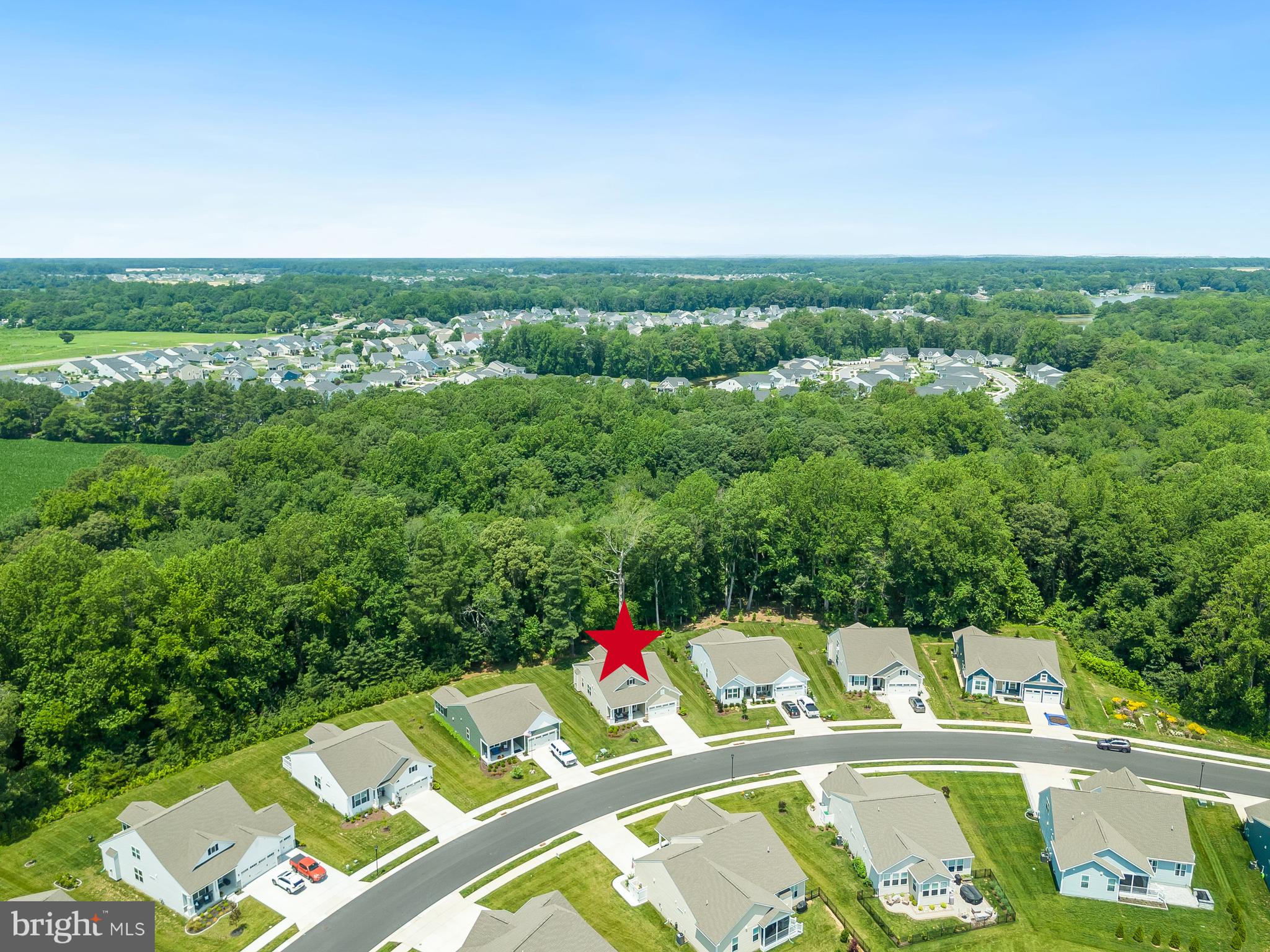 13091 Laurel Leaf Drive Lewes, DE 19958 - Photo 50 of 77