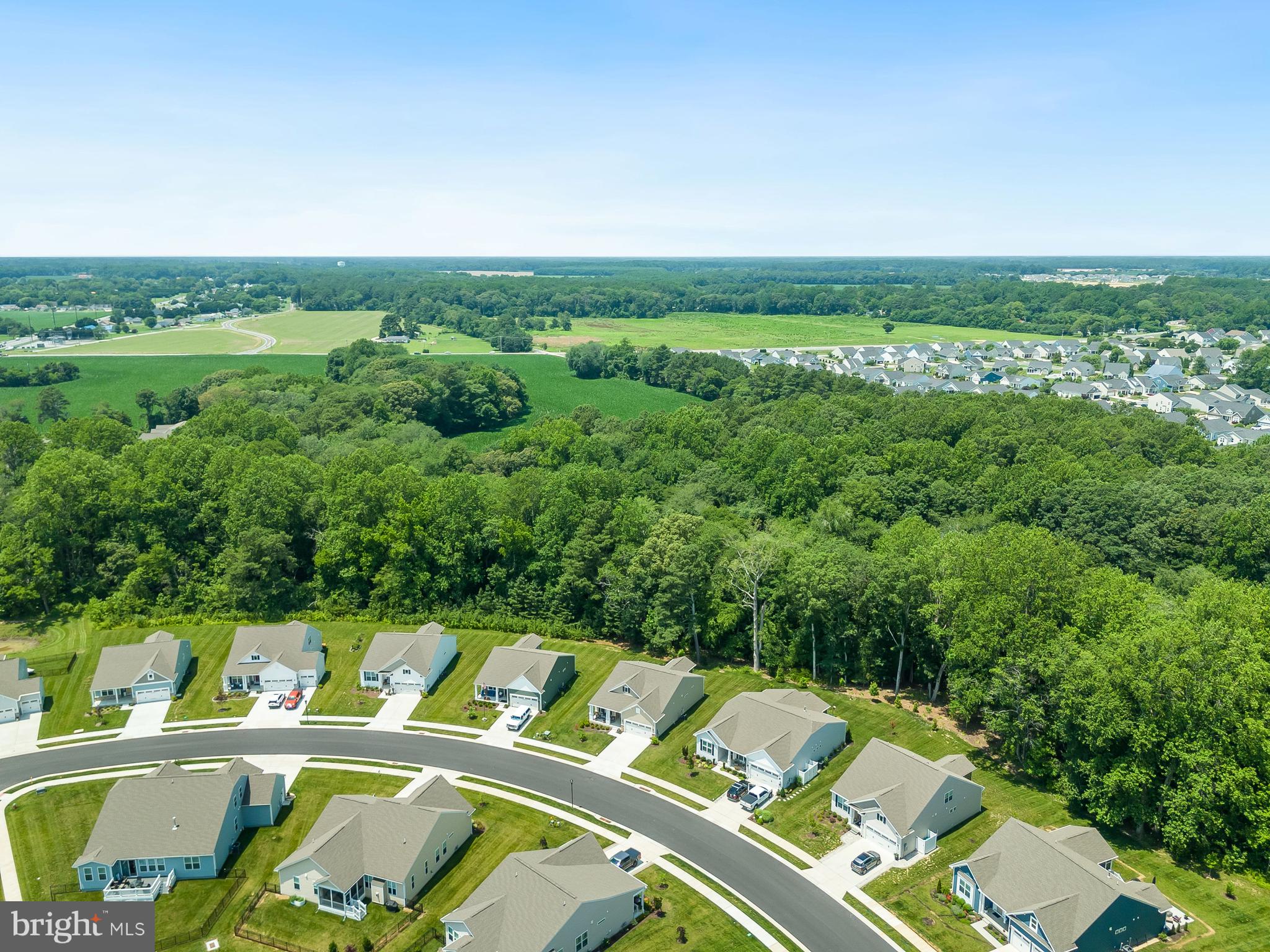 13091 Laurel Leaf Drive Lewes, DE 19958 - Photo 51 of 77