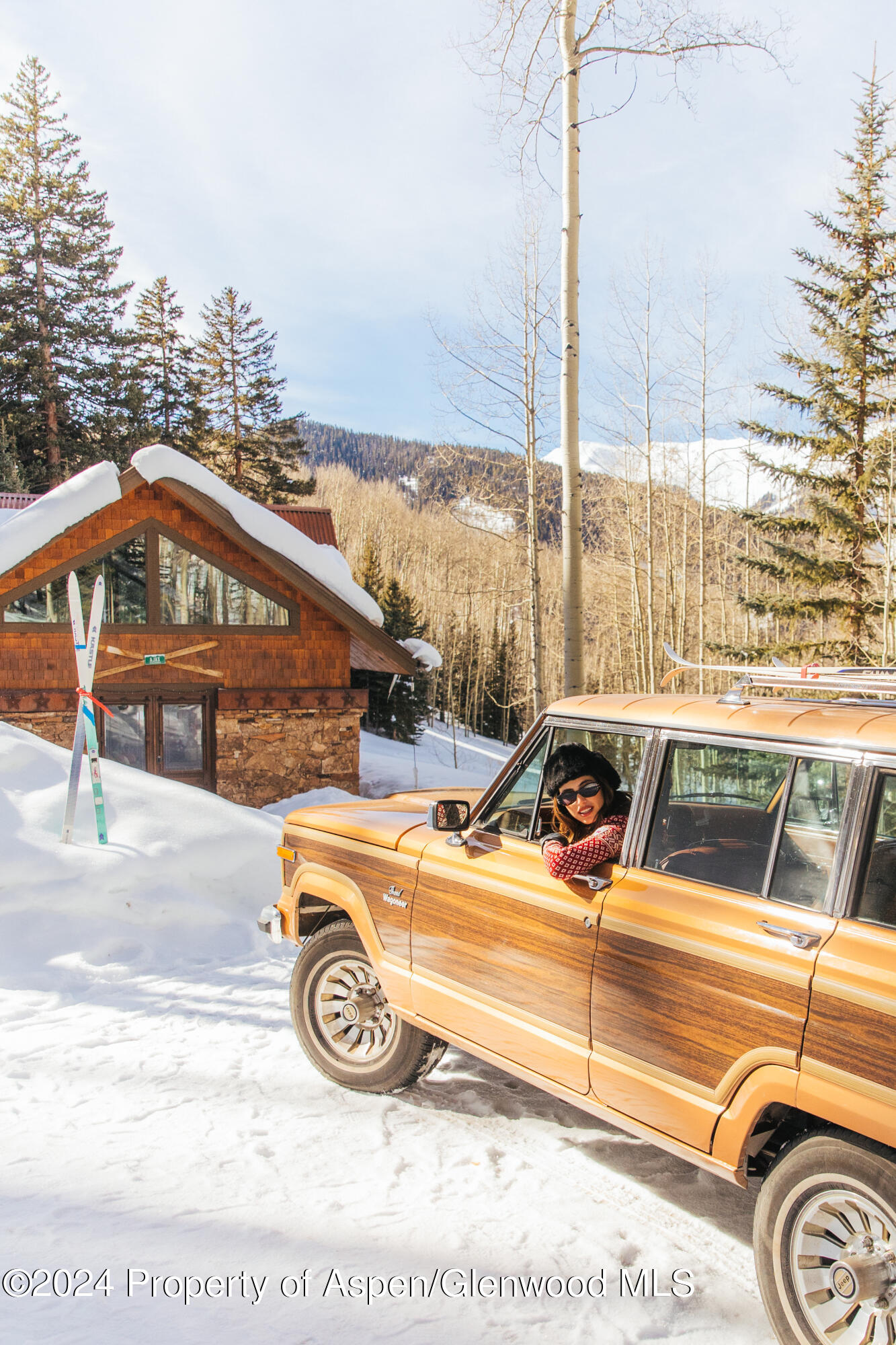 88 S Meadow Aspen, CO 81612 - Photo 17 of 40 a view of a car with car parked