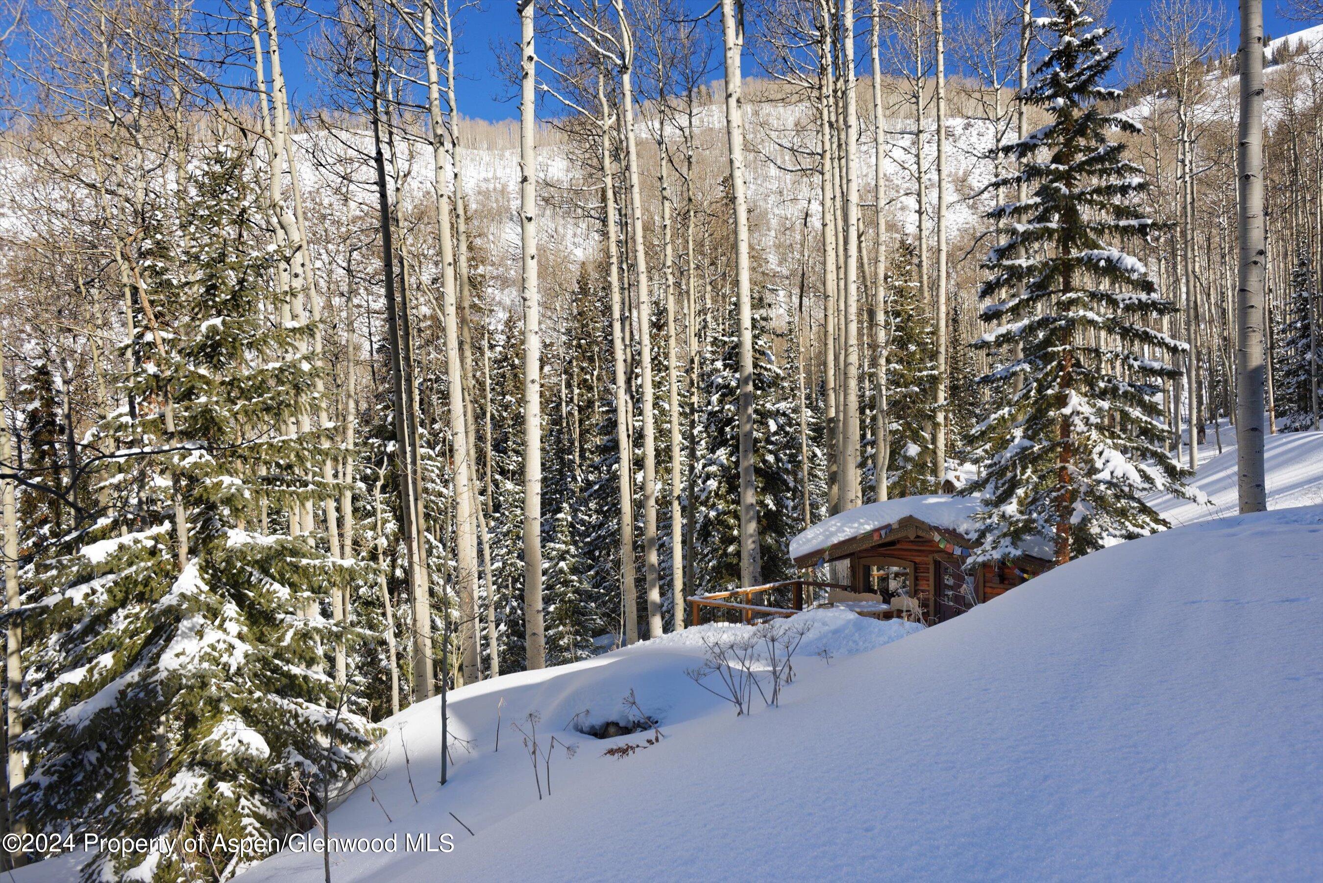 88 S Meadow Aspen, CO 81612 - Photo 18 of 40 a view of balcony with outdoor space