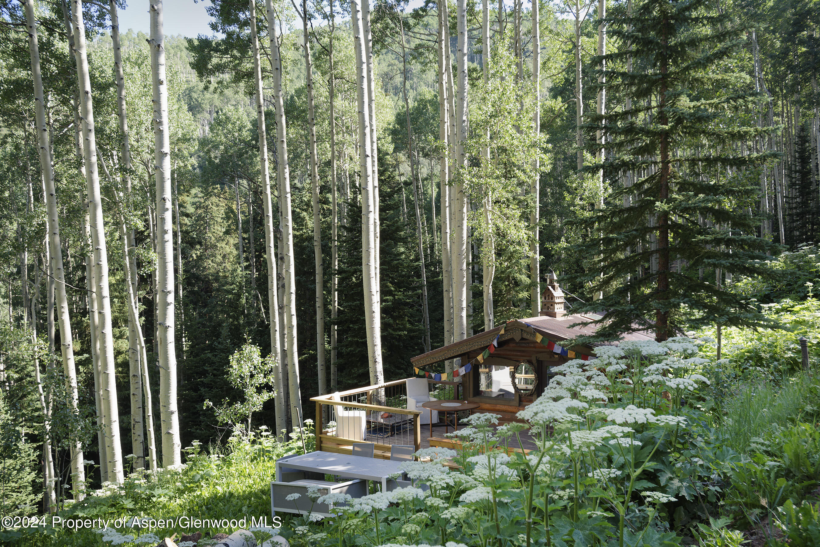 88 S Meadow Aspen, CO 81612 - Photo 20 of 40 a view of a chair and table in the garden