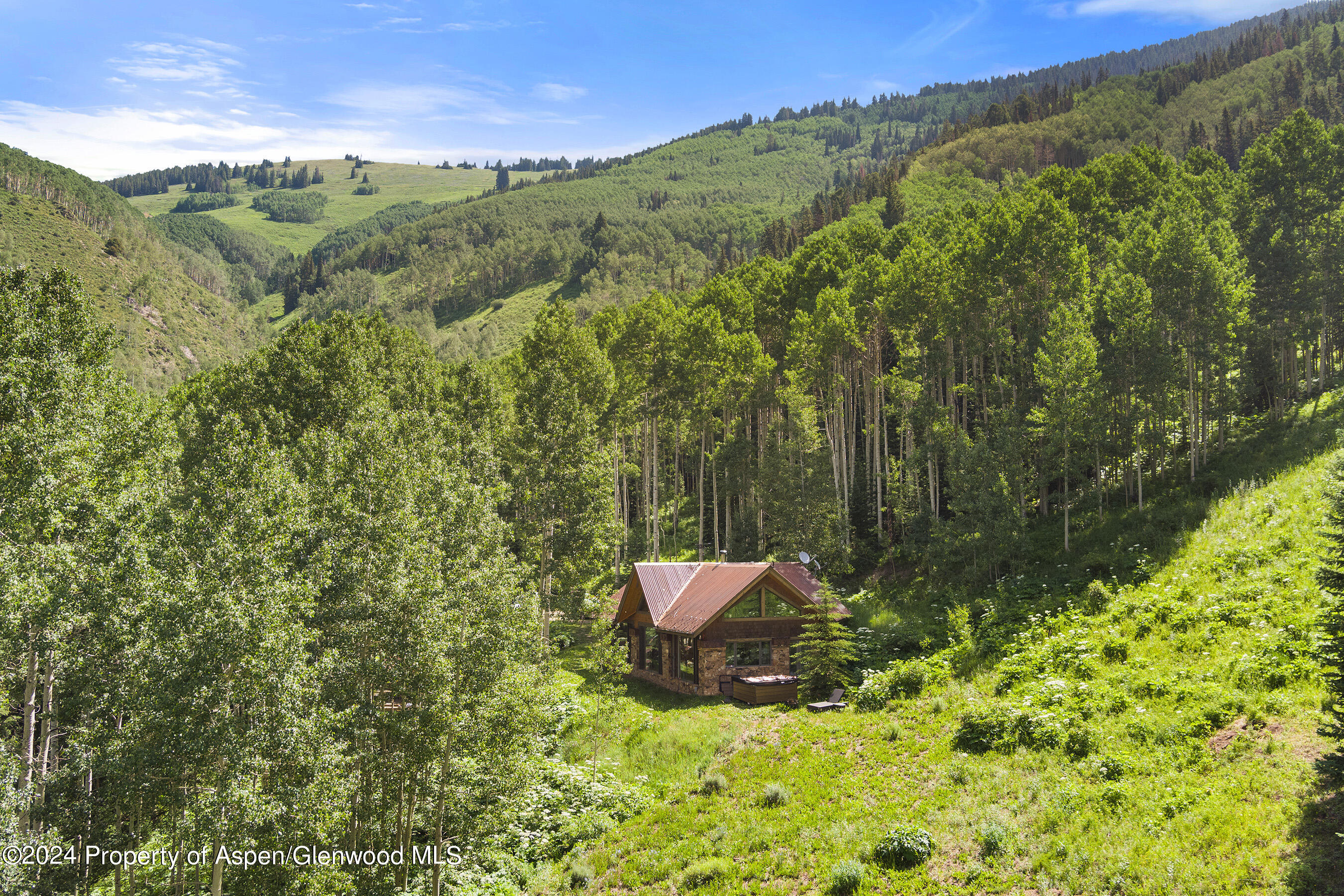88 S Meadow Aspen, CO 81612 - Photo 27 of 40 a view of a back yard
