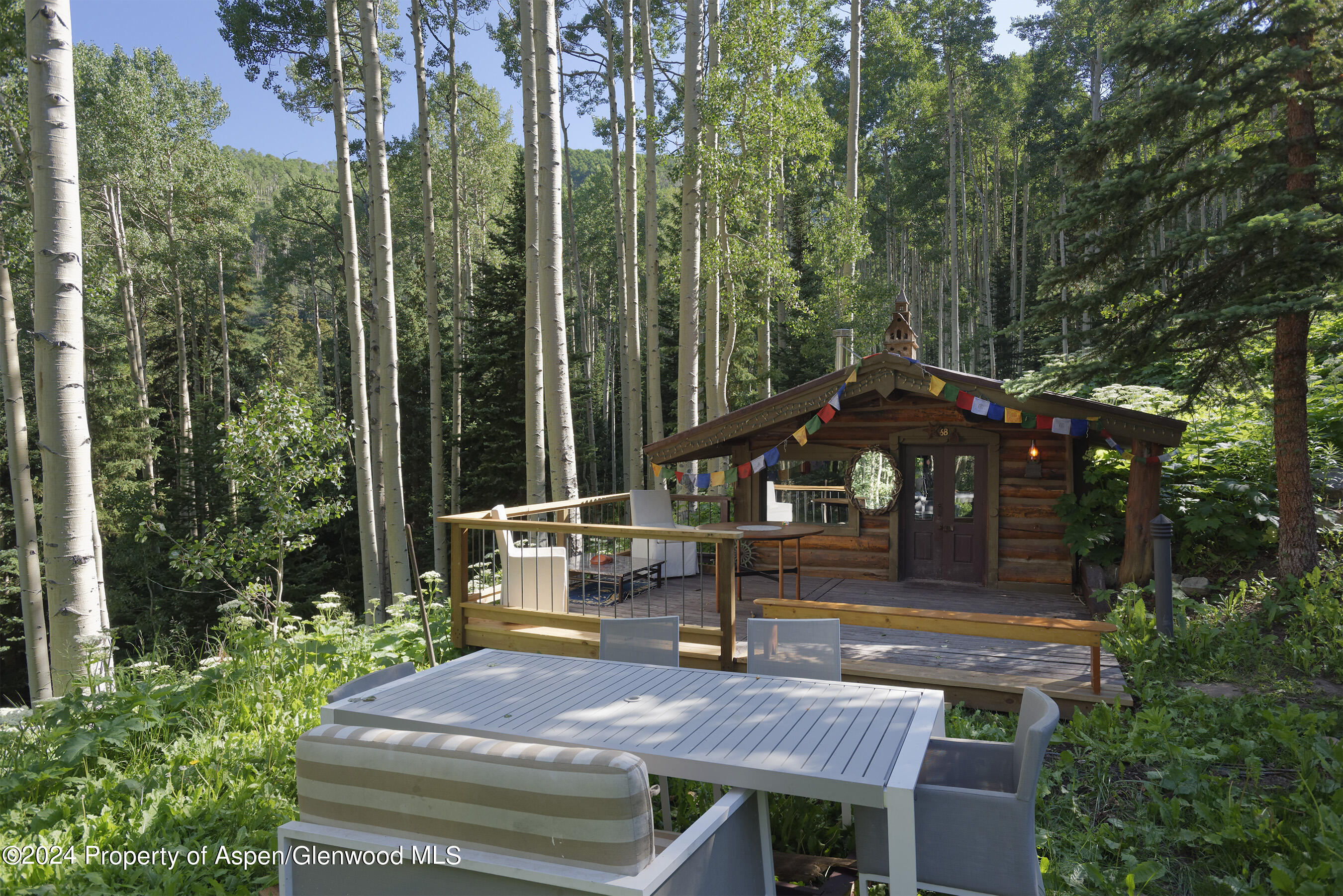 88 S Meadow Aspen, CO 81612 - Photo 29 of 40 a view of outdoor space yard deck patio and swimming pool