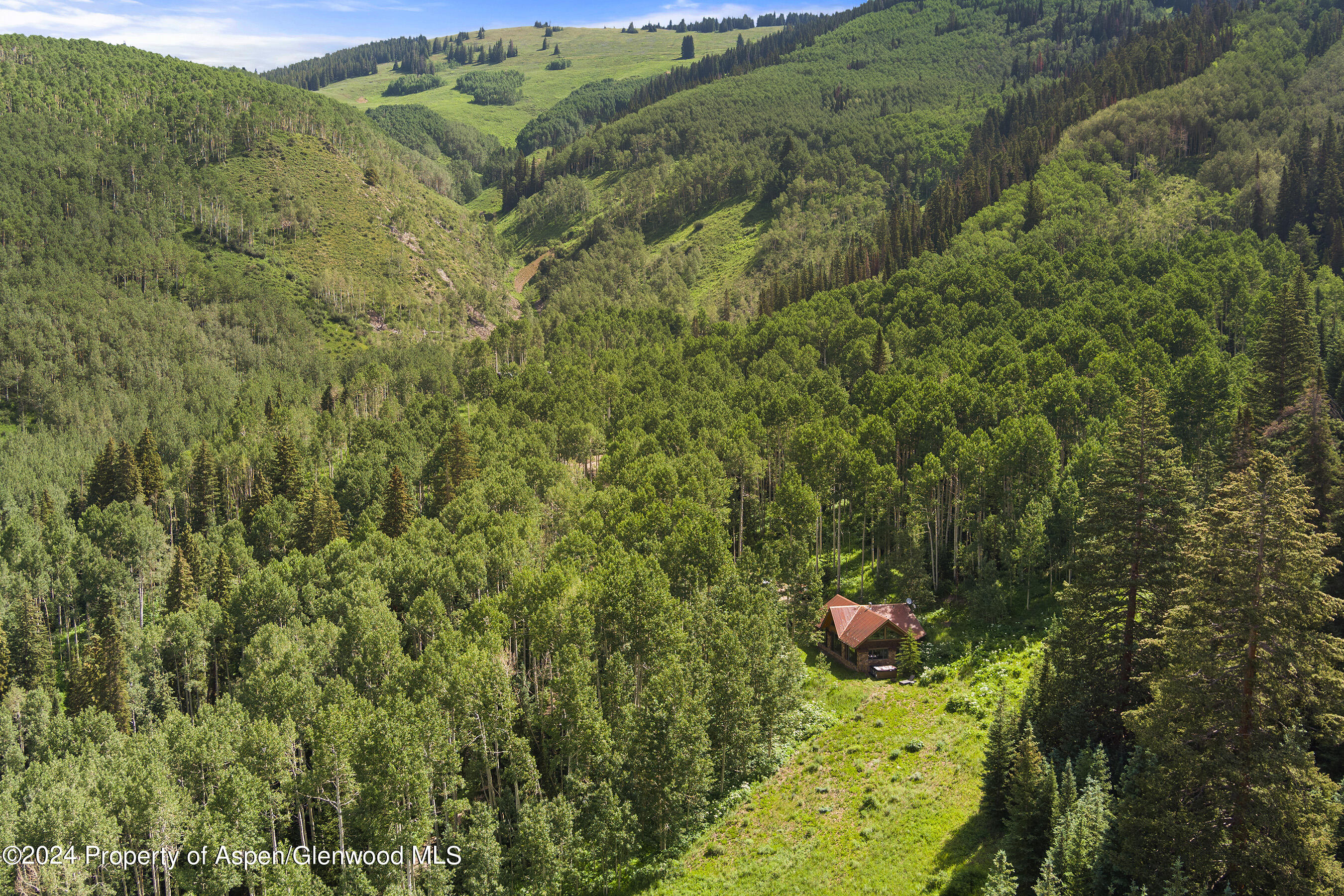 88 S Meadow Aspen, CO 81612 - Photo 38 of 40 a view of a tree
