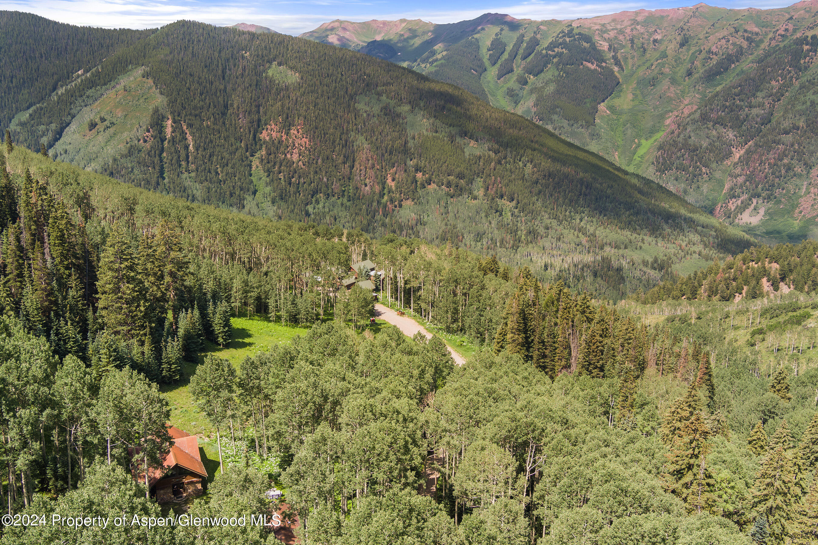 88 S Meadow Aspen, CO 81612 - Photo 40 of 40 a view of a yard with green space