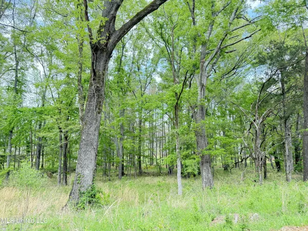 $70,000 | 342 Bellechase Drive, Clinton, MS 39056