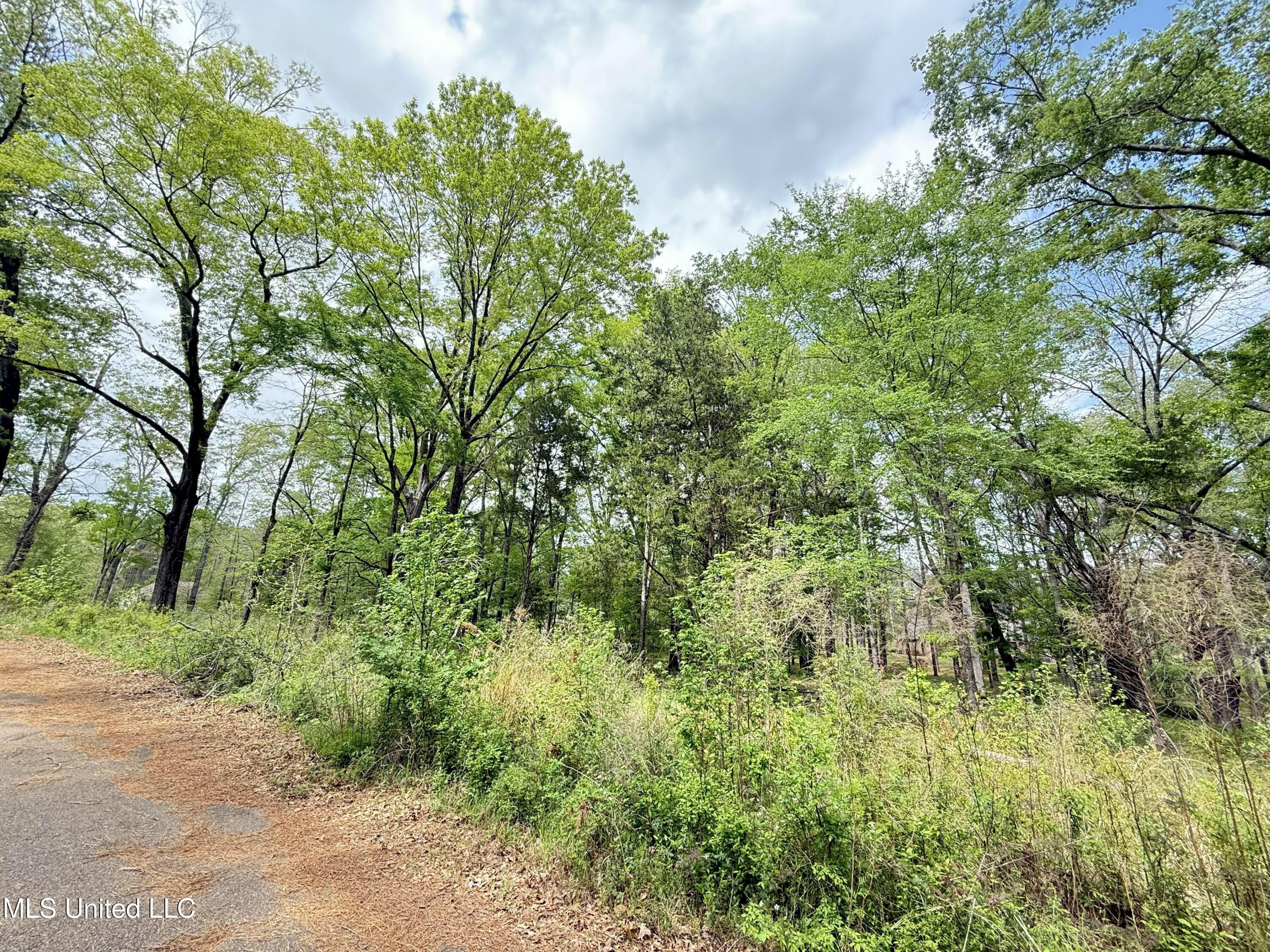 342 Bellechase Drive Clinton, MS 39056 - Photo 4 of 10 tempImageXcmsJY