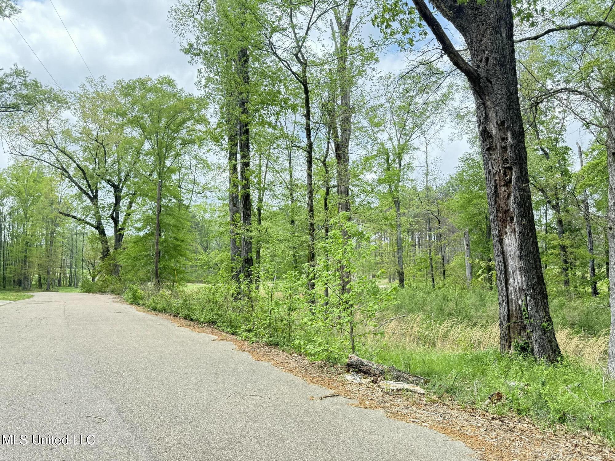 342 Bellechase Drive Clinton, MS 39056 - Photo 5 of 10 tempImageE0n8Xg