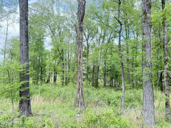 $70,000 | 342 Bellechase Drive, Clinton, MS 39056