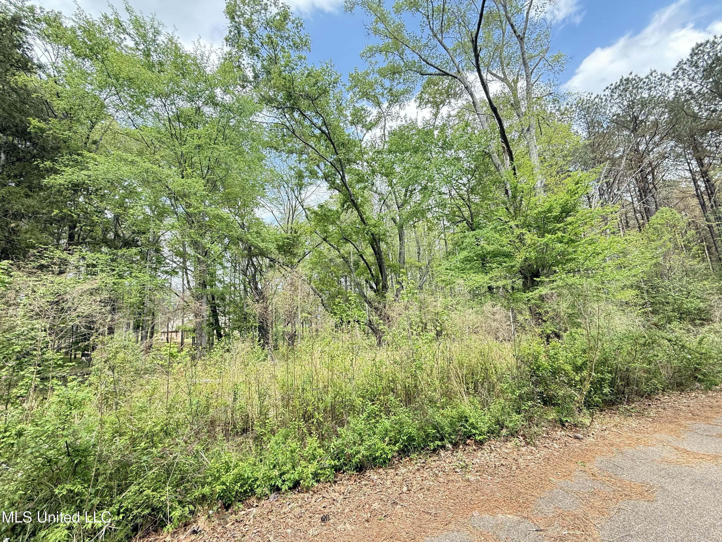 342 Bellechase Drive Clinton, MS 39056 - Photo 7 of 10 tempImageatLaKU