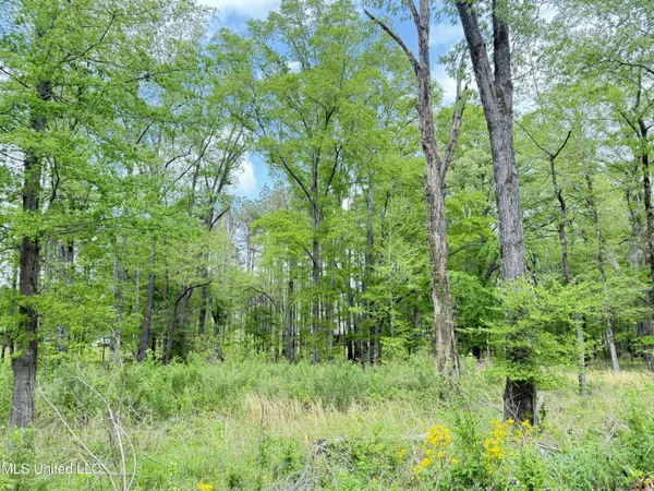 $70,000 | 342 Bellechase Drive, Clinton, MS 39056