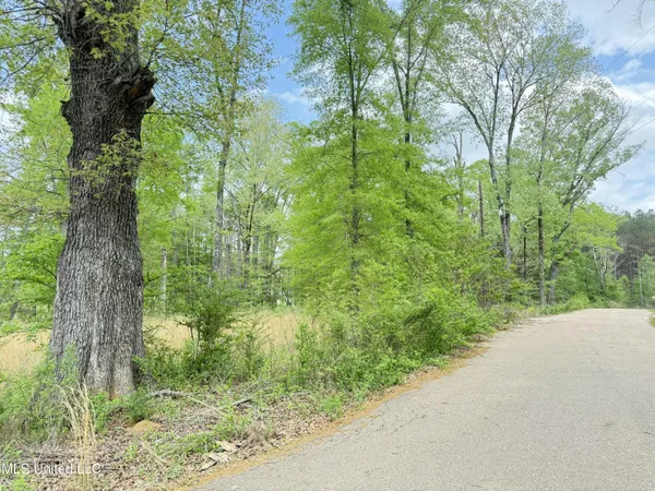$70,000 | 342 Bellechase Drive, Clinton, MS 39056