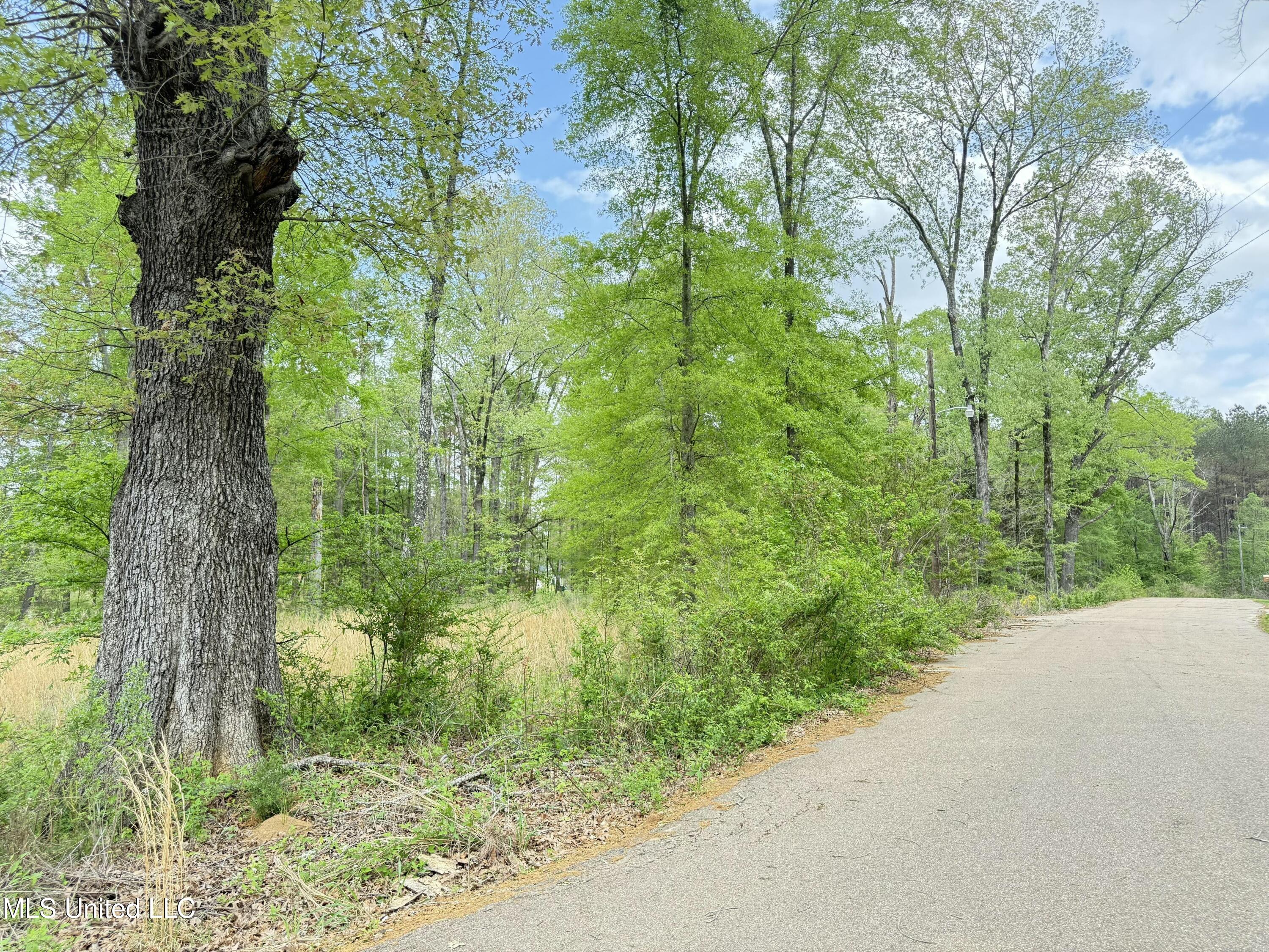 342 Bellechase Drive Clinton, MS 39056 - Photo 9 of 10 tempImageXe6oUH