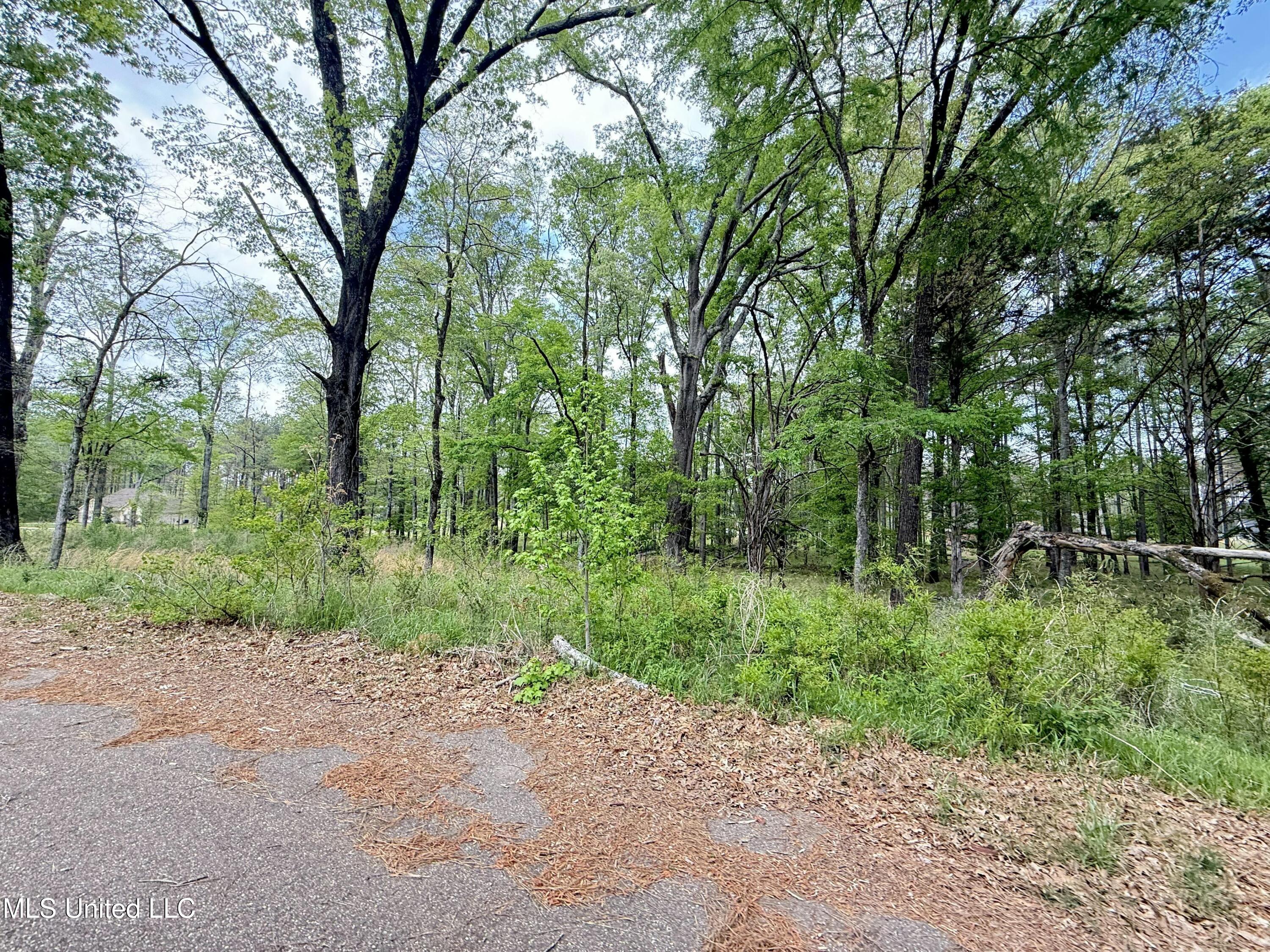 342 Bellechase Drive Clinton, MS 39056 - Photo 10 of 10 tempImage5YeeB9