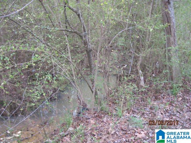 1441 Morrisville Road Anniston, AL 36201 - Photo 19 of 19