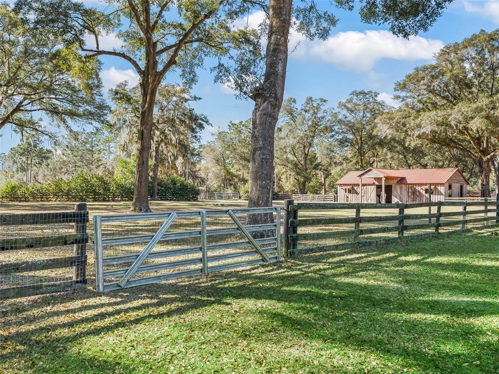 680 Southeast 123rd Street Road Ocala, FL 34480 - Photo 41 of 48 a view of backyard with green space