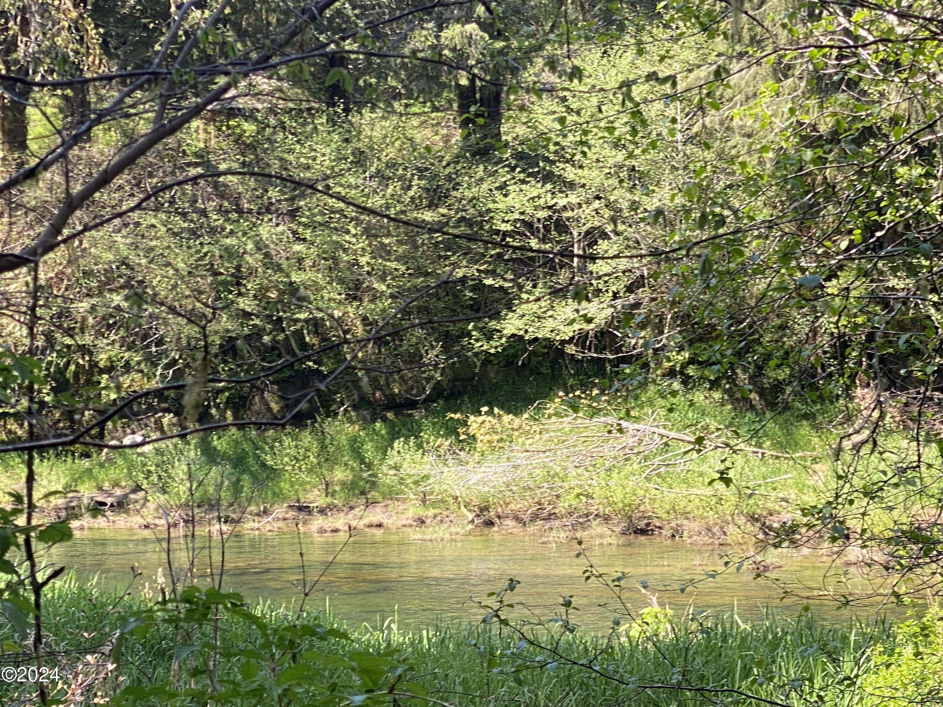1000 Hamer Road Siletz, OR 97380 - Photo 5 of 11 River Access