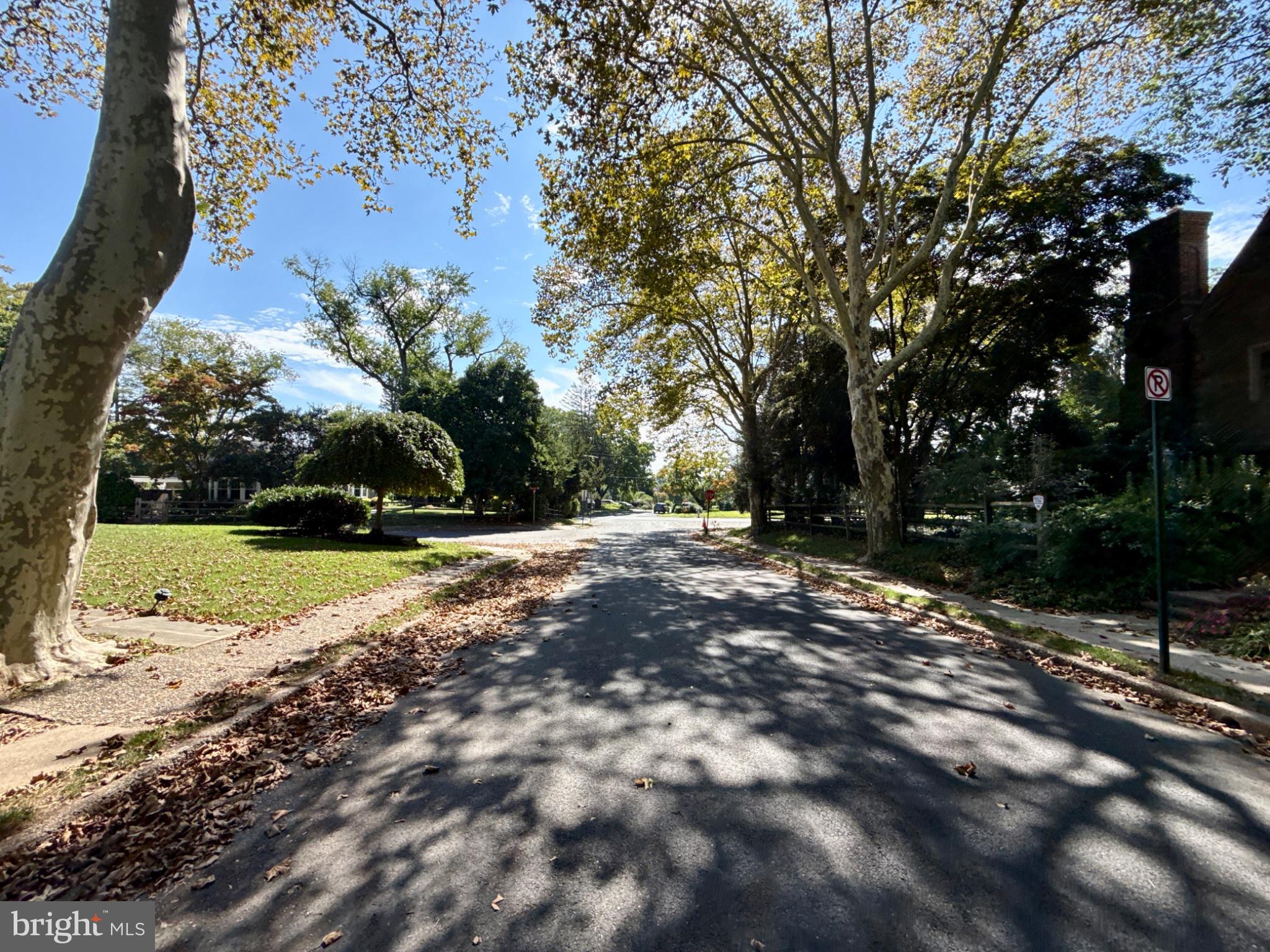 1013 Wellington Road Jenkintown, PA 19046 - Photo 49 of 50 Sycamore trees line the street