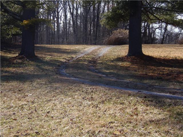 633 Jump Off Mountain Road Sewanee, TN 37375 - Photo 16 of 17 Gallery Image 16