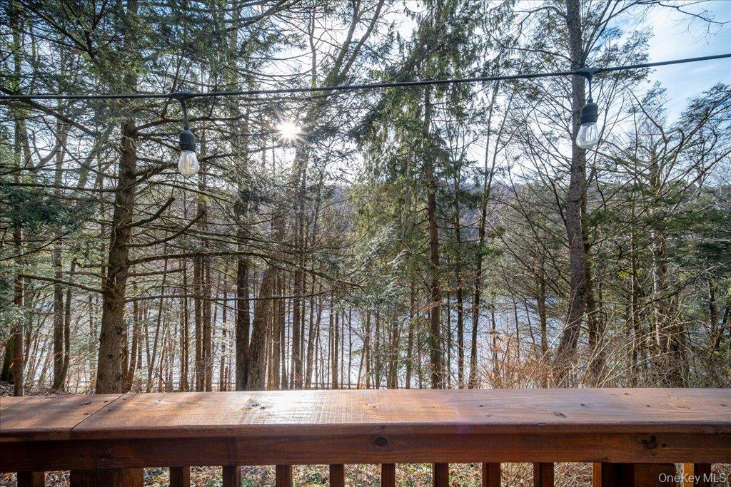 34 Overlook Road Woodbourne, NY 12788 - Photo 7 of 36