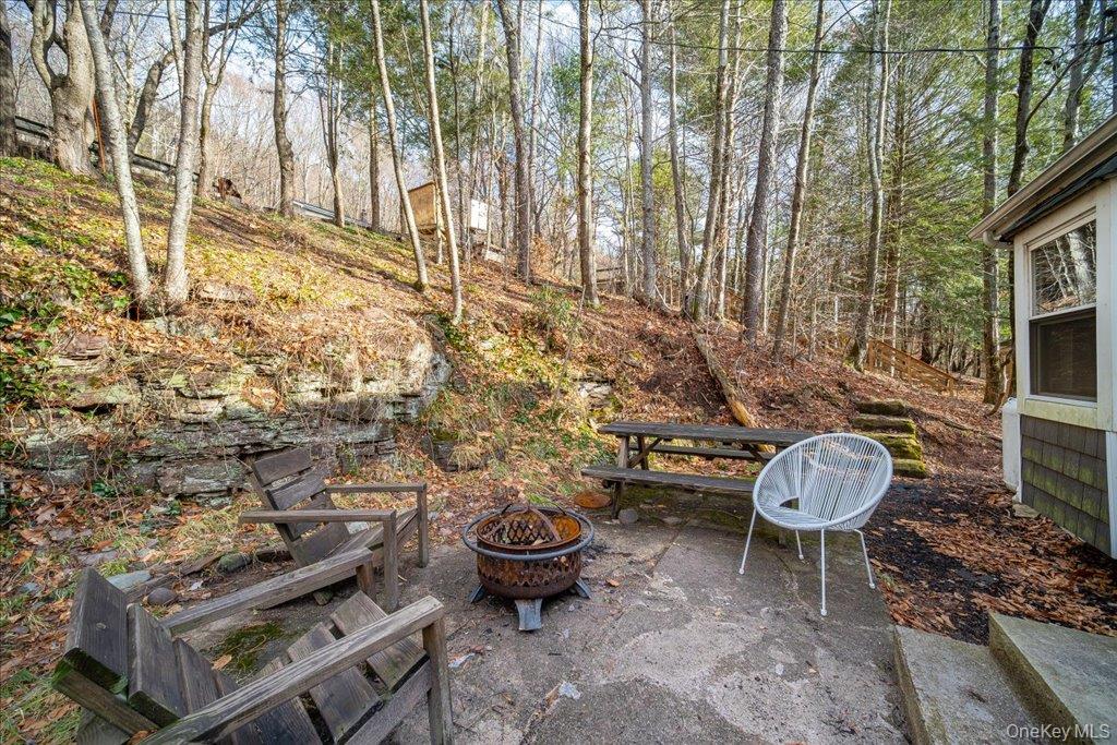 34 Overlook Road Woodbourne, NY 12788 - Photo 8 of 36