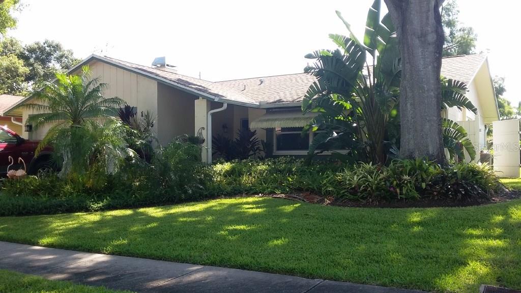 1845 East Orangeside Road Palm Harbor, FL 34683 - Photo 1 of 1 Gallery Image 1