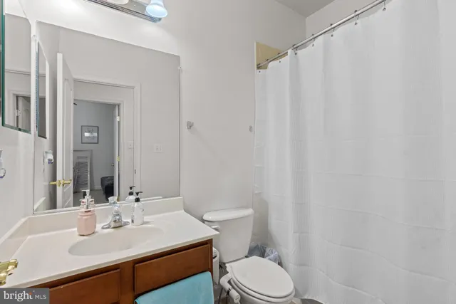 a bathroom with a sink a toilet a mirror and shower curtain