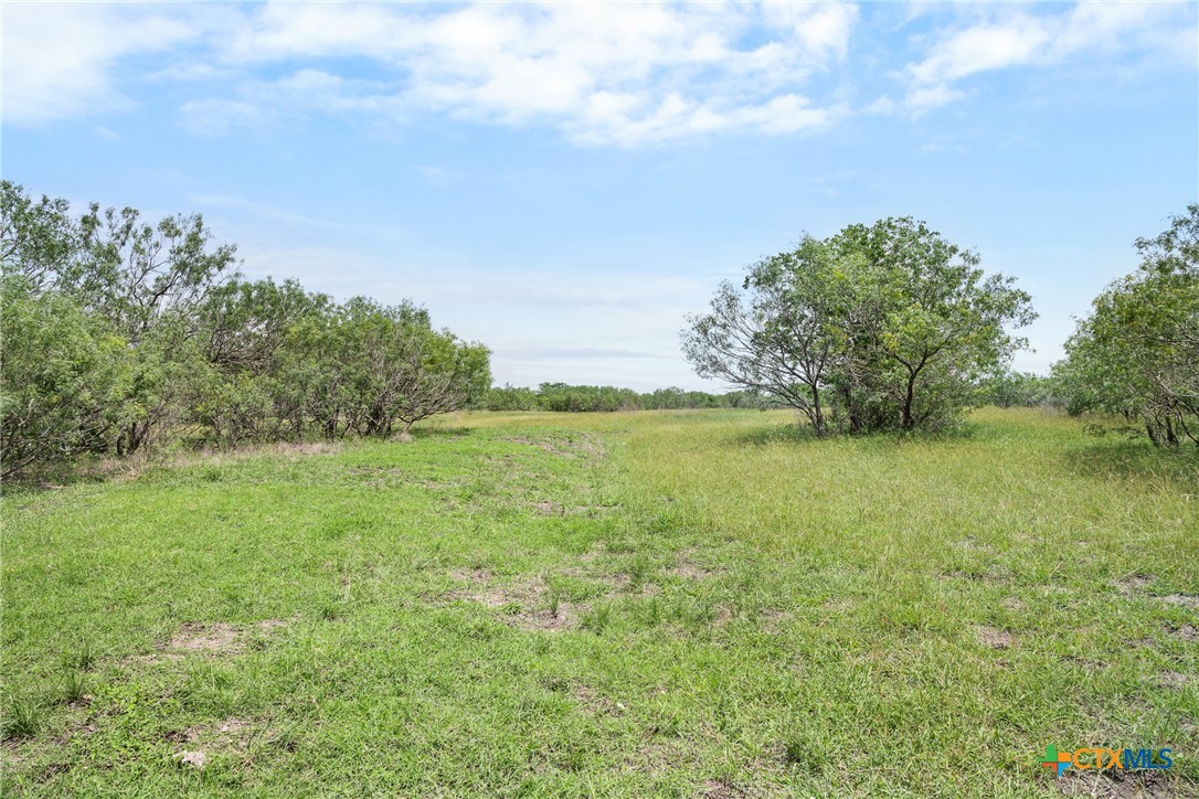 1190 Dickerson Road Lockhart, TX 78644 - Photo 15 of 40
