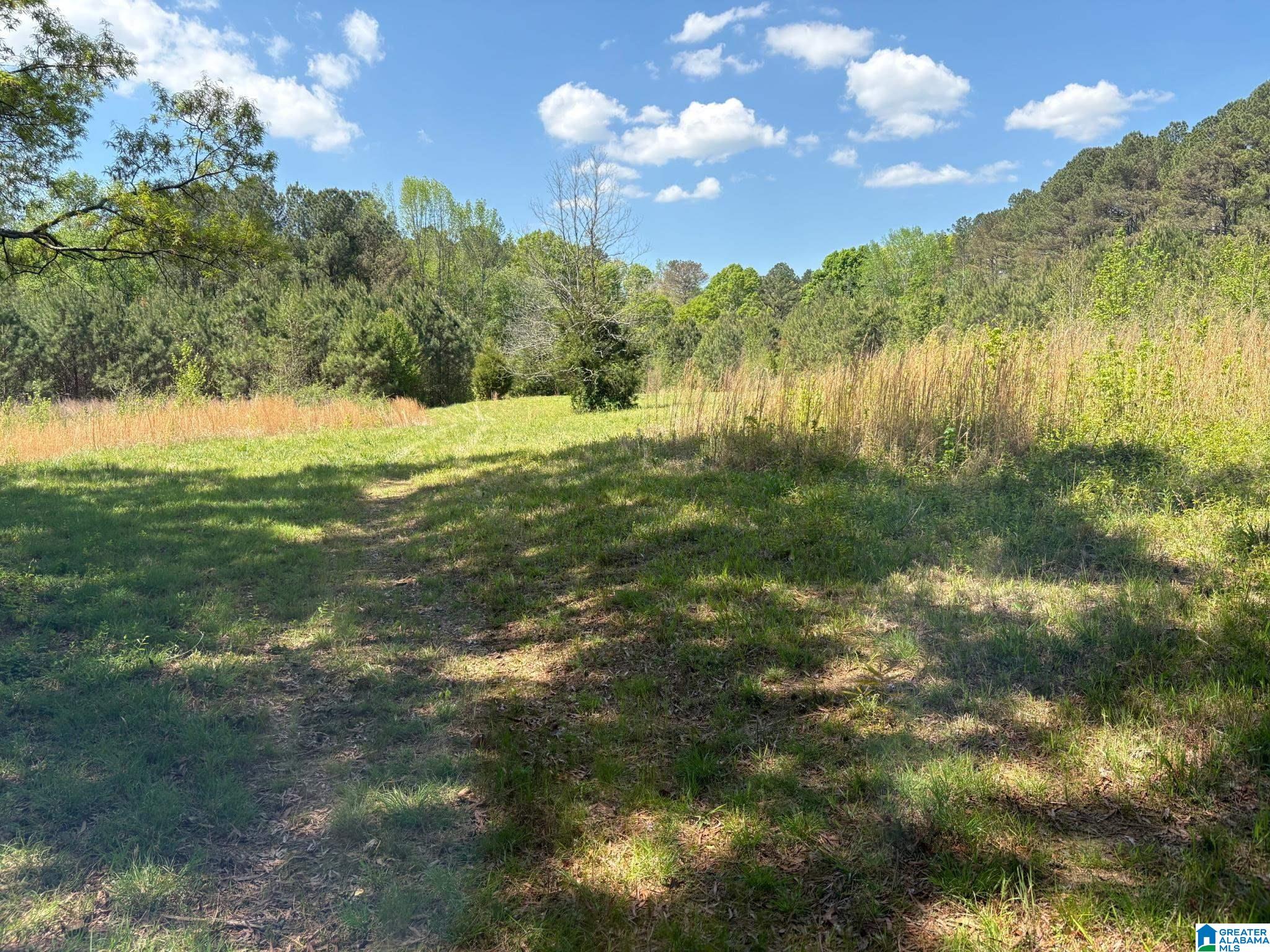 0 Hickory Circle Union Grove, AL 35175 - Photo 1 of 4