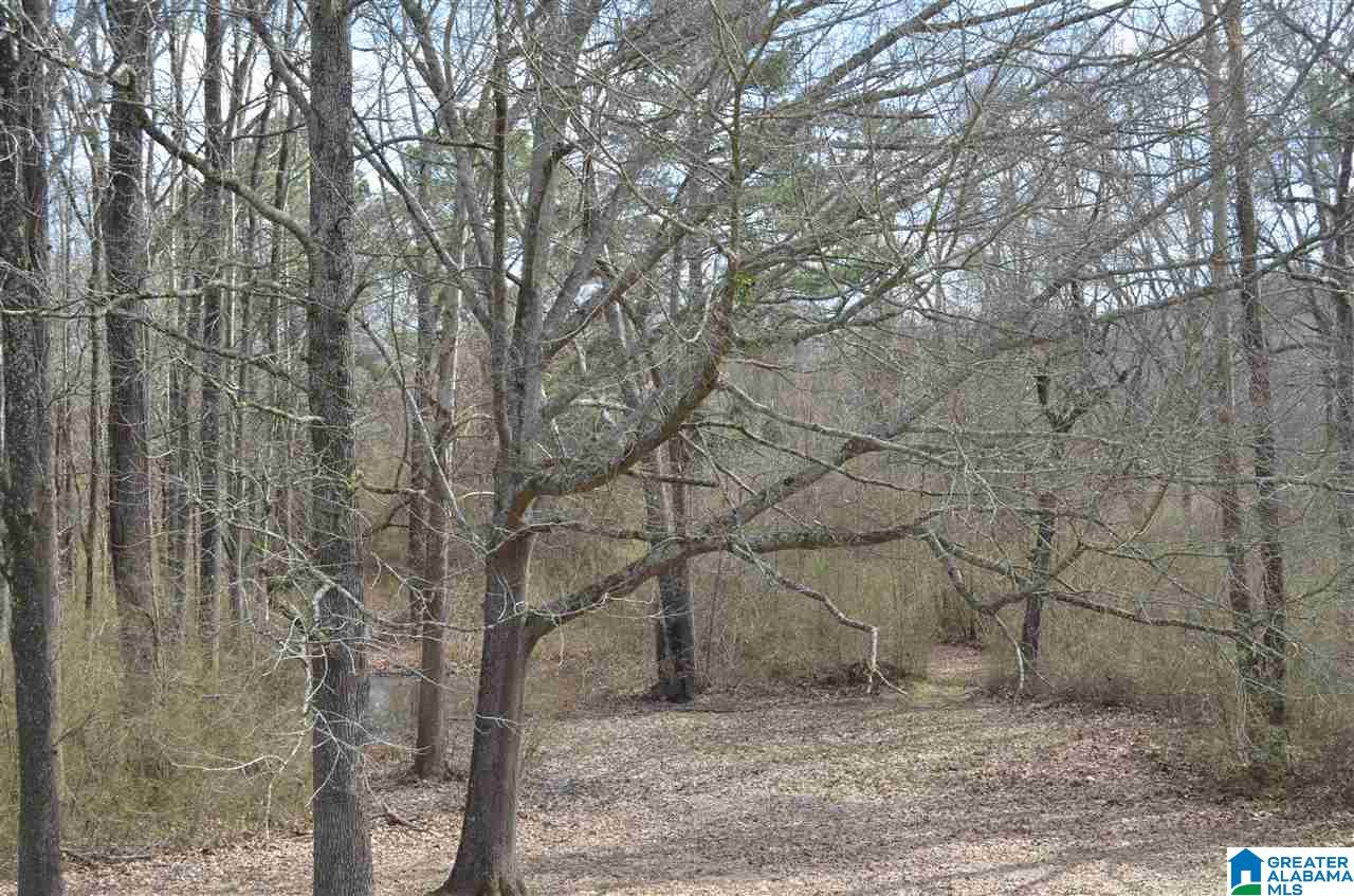 4635 Trussville Clay Road Trussville, AL 35173 - Photo 34 of 36