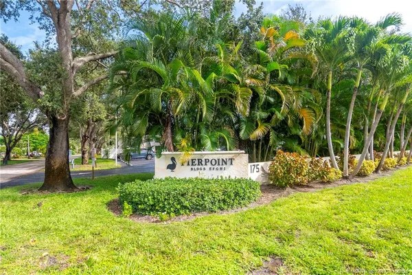 a view of a park with large trees