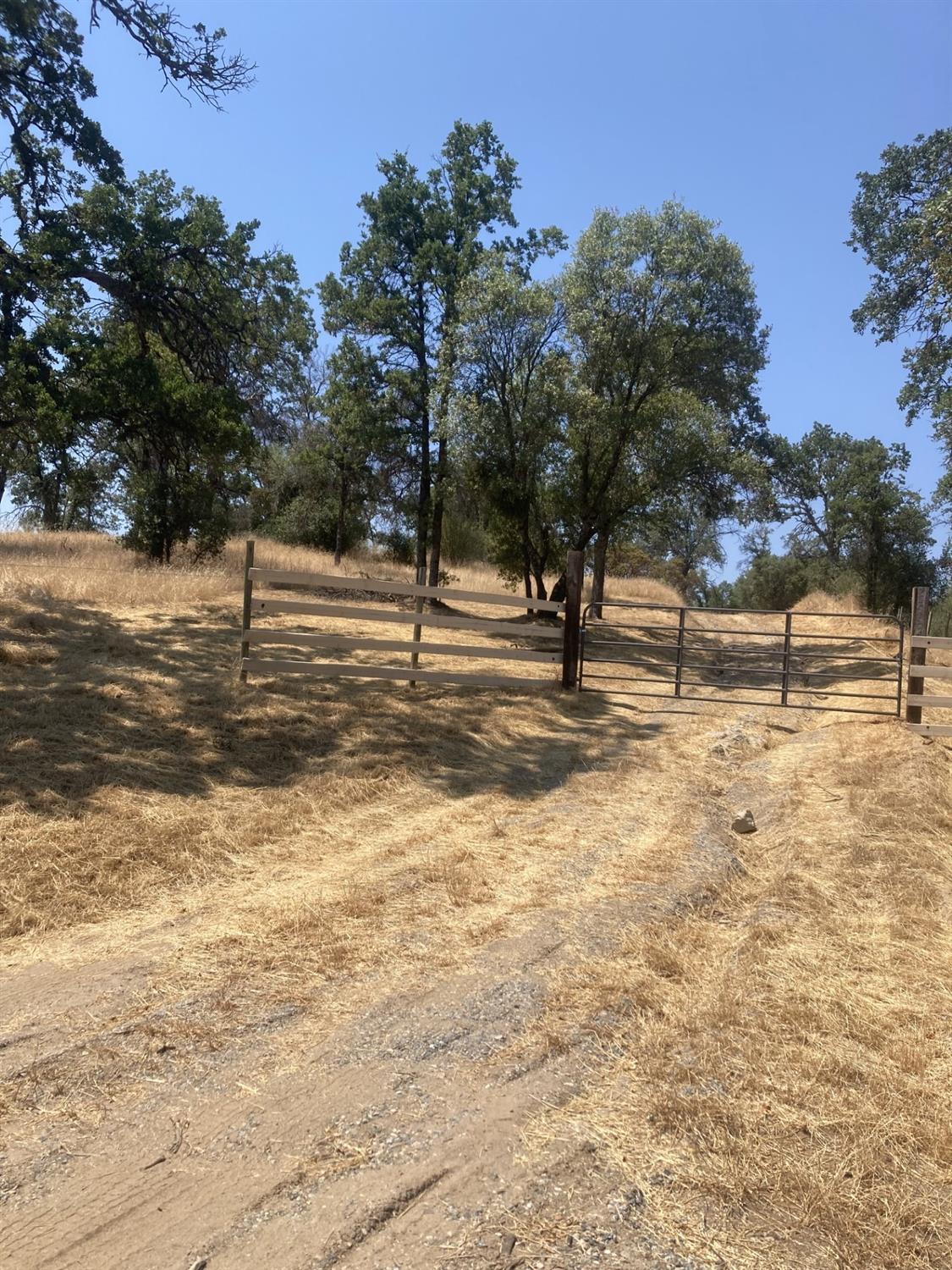 0 Knickerbocker Road Ahwahnee, CA 93601 - Photo 3 of 9