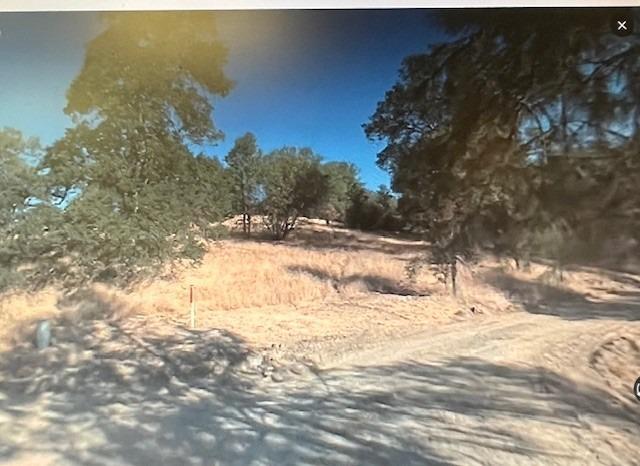 0 Knickerbocker Road Ahwahnee, CA 93601 - Photo 4 of 9 a view of a yard covered with snow