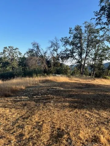 a view of outdoor space with yard