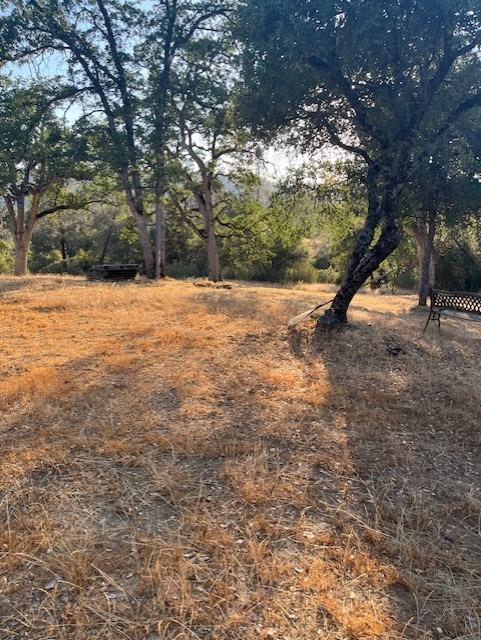 0 Knickerbocker Road Ahwahnee, CA 93601 - Photo 6 of 9 a view of outdoor space with yard