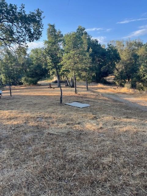 0 Knickerbocker Road Ahwahnee, CA 93601 - Photo 7 of 9 a view of a yard with an trees