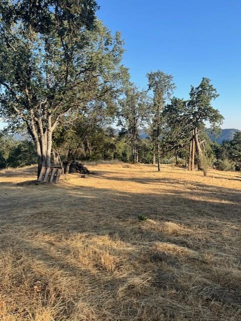 0 Knickerbocker Road Ahwahnee, CA 93601 - Photo 8 of 9 a view of road with trees