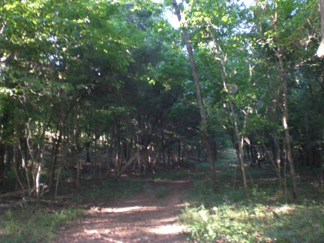 3052 Parsons Bend Road Columbia, TN 38401 - Photo 14 of 20