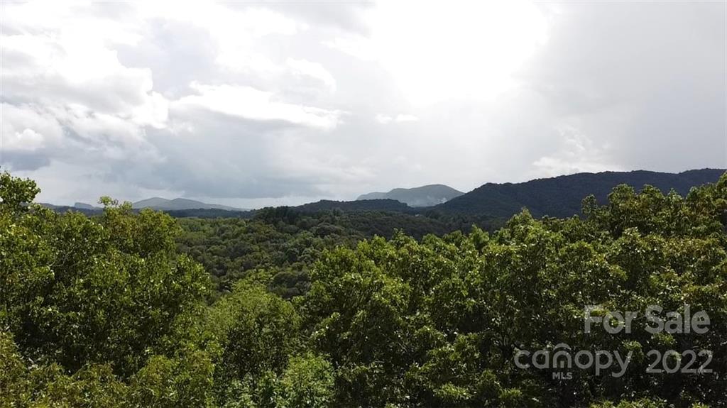 0 Bowman Road Newland, NC 28657 - Photo 15 of 18 Gallery Image 15