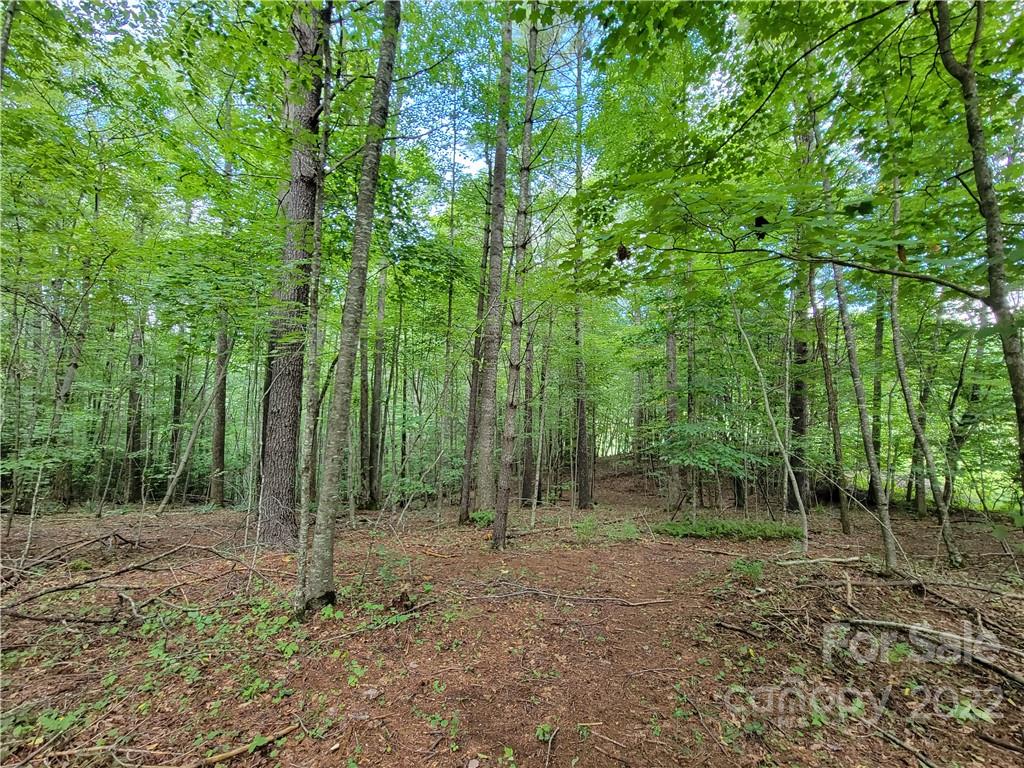 0 Bowman Road Newland, NC 28657 - Photo 16 of 18 Gallery Image 16