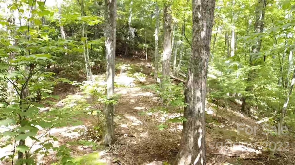 0 Bowman Road Newland, NC 28657 - Photo 3 of 18 Gallery Image 3