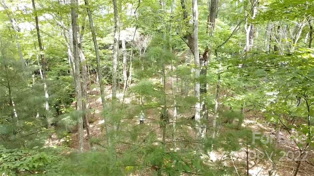 0 Bowman Road Newland, NC 28657 - Photo 7 of 18 Gallery Image 7