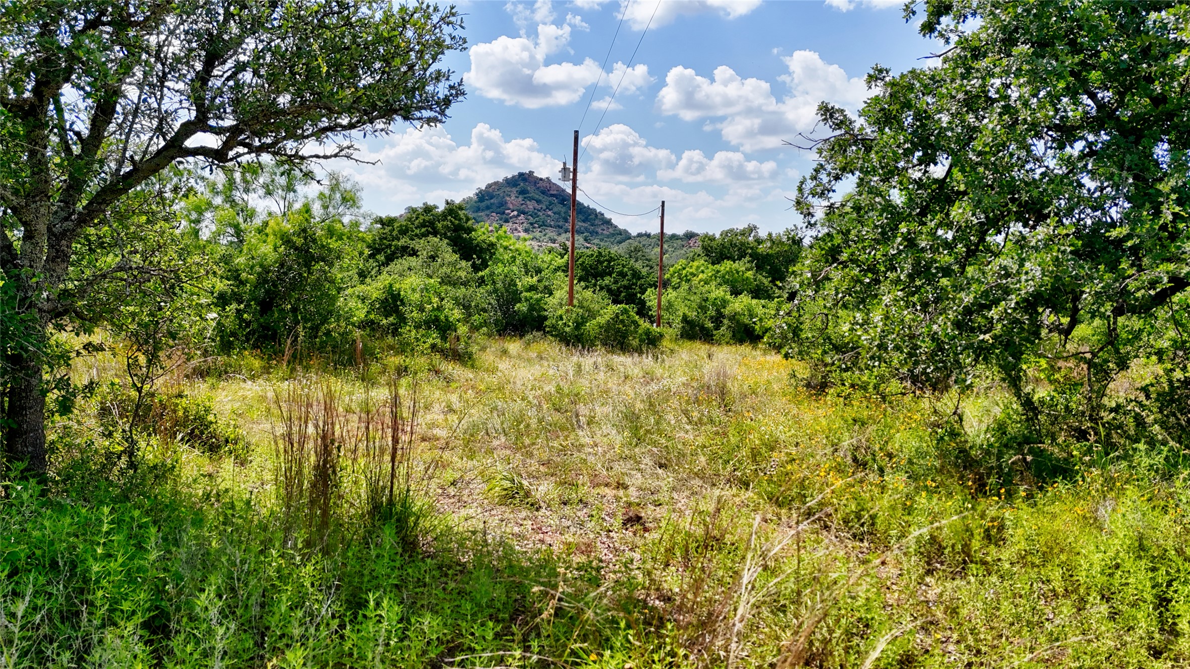 18248 Bode Peak Road Pontotoc, TX 76869 - Photo 11 of 17 Mature trees frame a verdant landscape with distant hills under a bright sky.