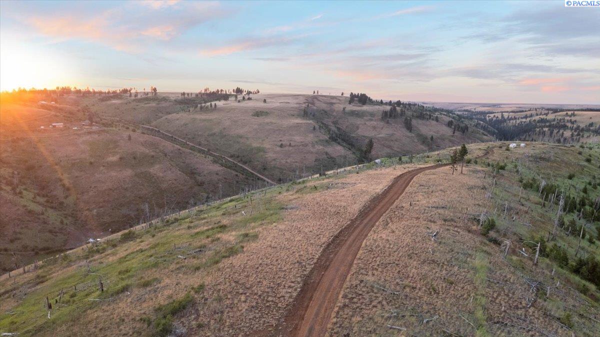 Tbd Linville Ridge Road Pomeroy, WA 99347 - Photo 12 of 29 Gallery Image 12