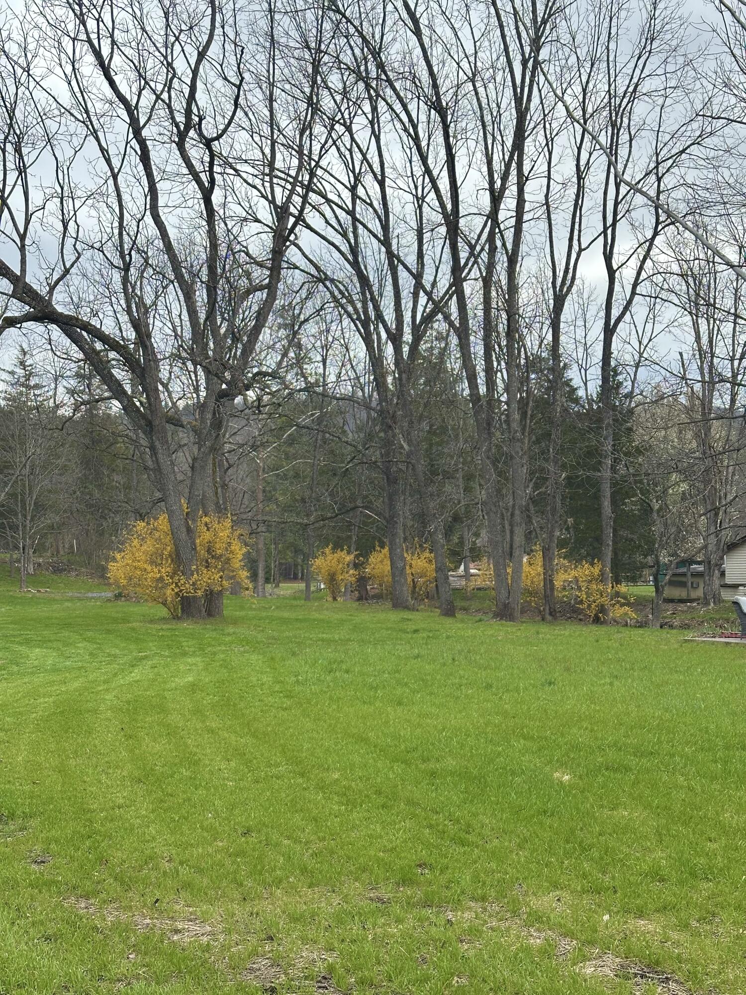 800 East Morris Hill Road Covington, VA 24426 - Photo 101 of 126 IMG_7028