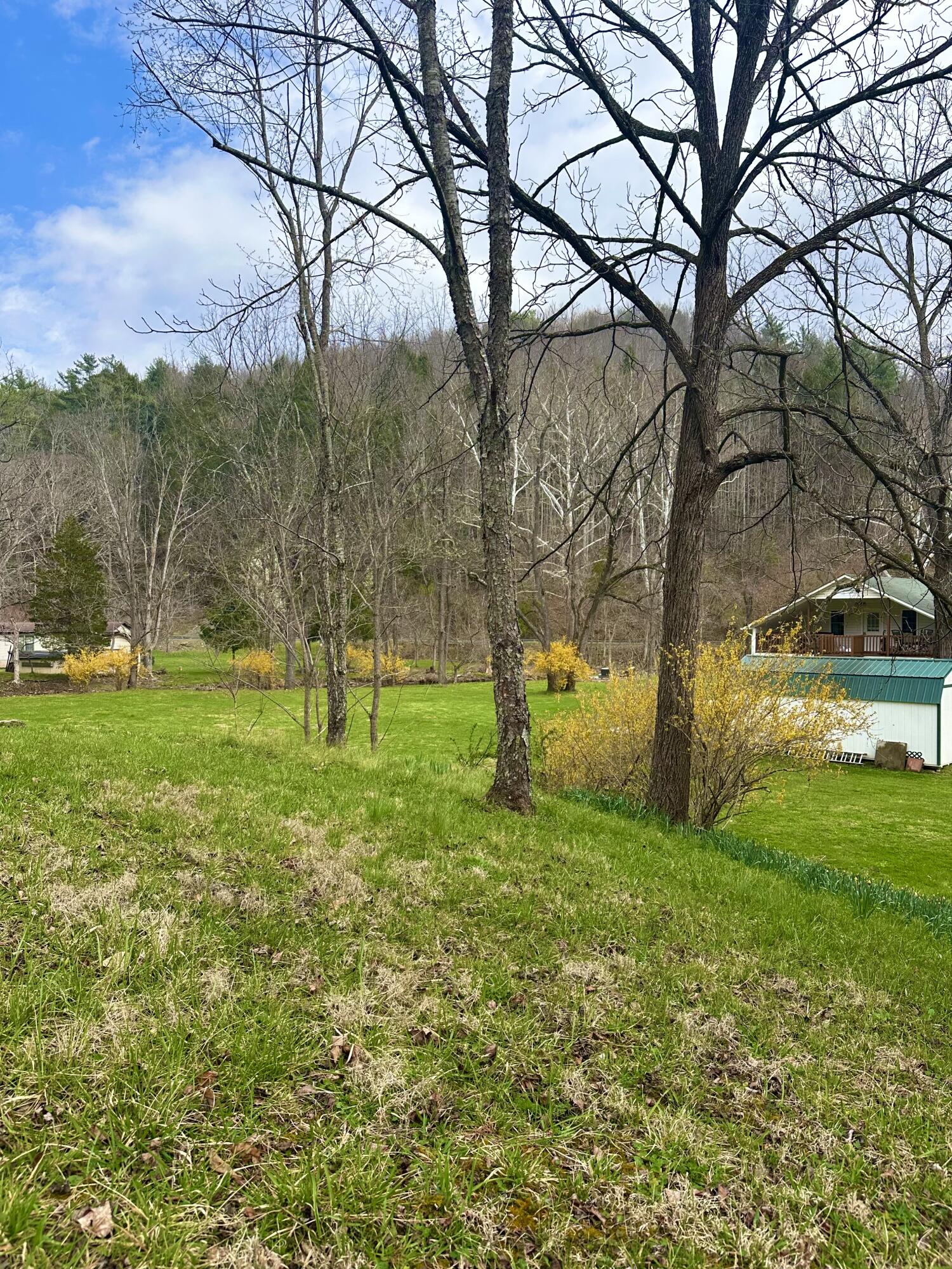 800 East Morris Hill Road Covington, VA 24426 - Photo 103 of 126 IMG_6996