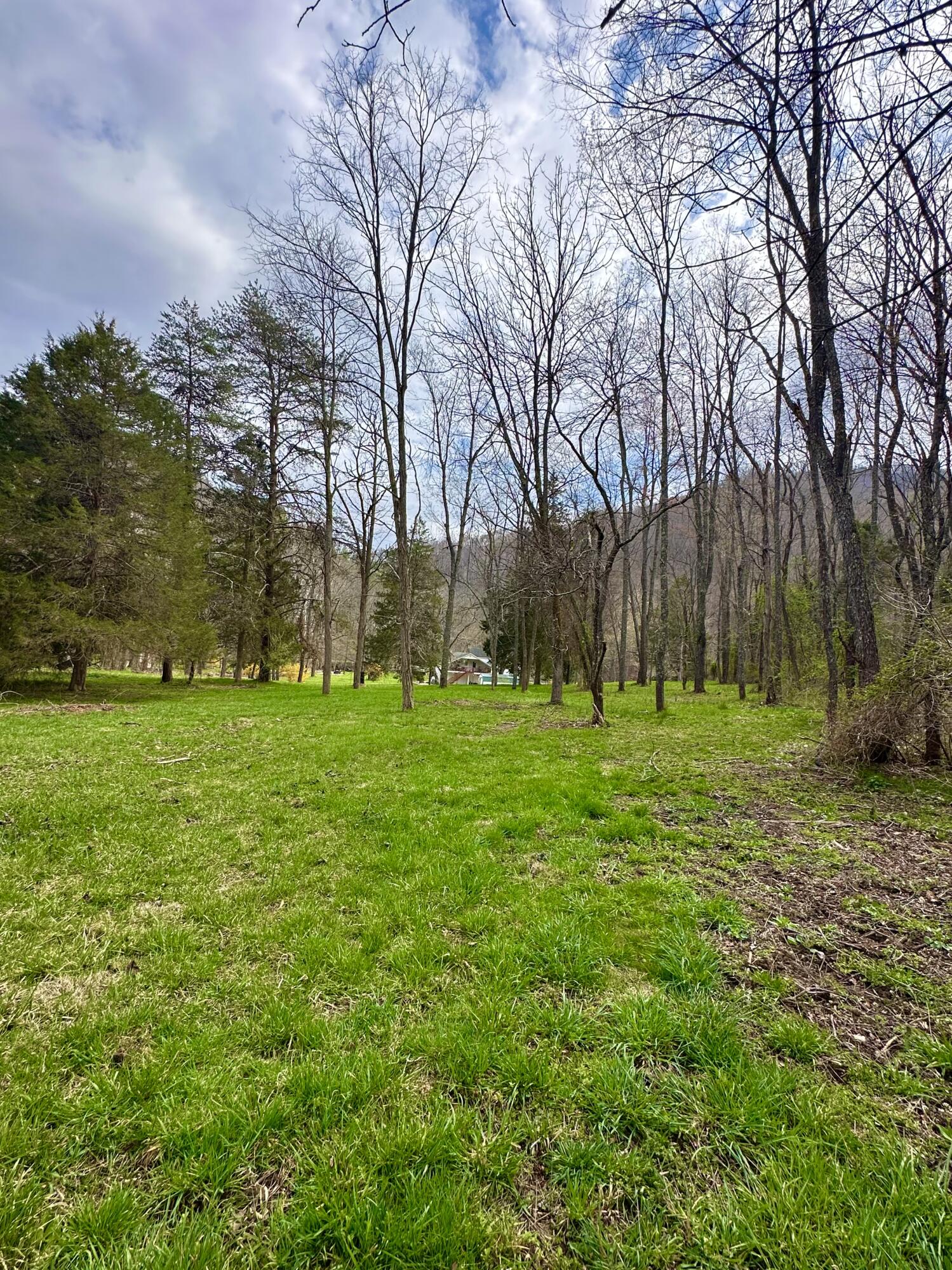 800 East Morris Hill Road Covington, VA 24426 - Photo 105 of 126 IMG_6990