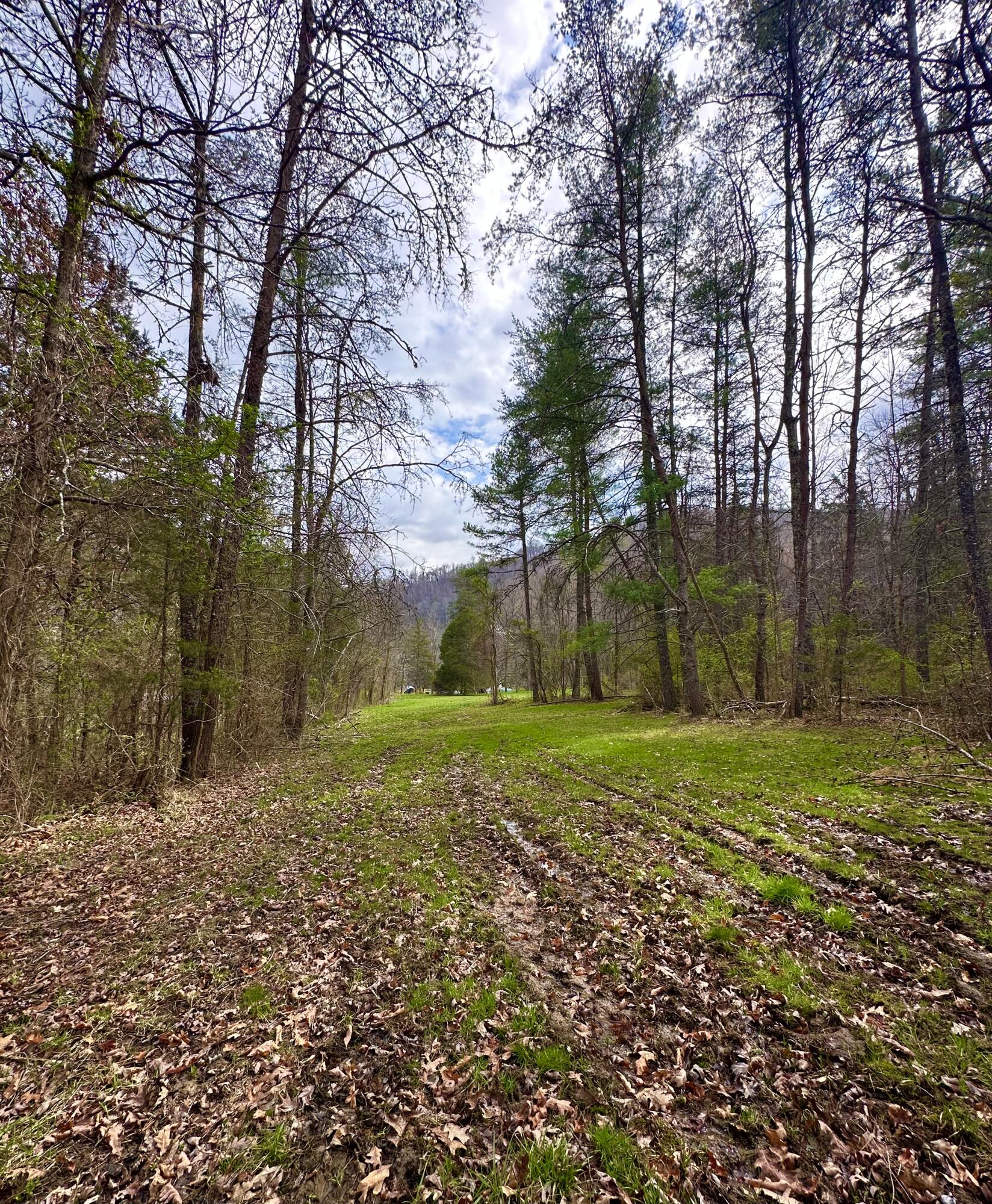 800 East Morris Hill Road Covington, VA 24426 - Photo 107 of 126 IMG_6986