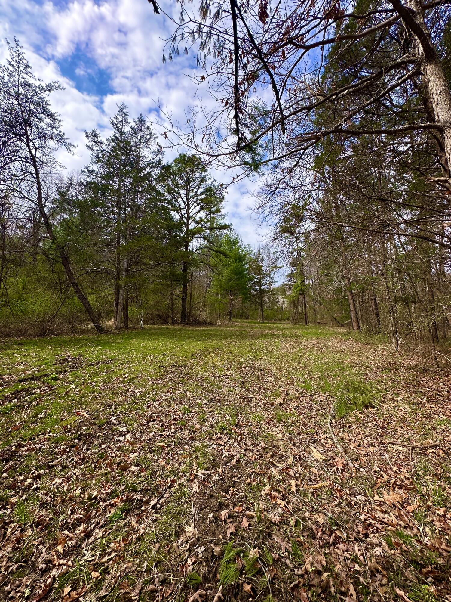 800 East Morris Hill Road Covington, VA 24426 - Photo 108 of 126 IMG_6984